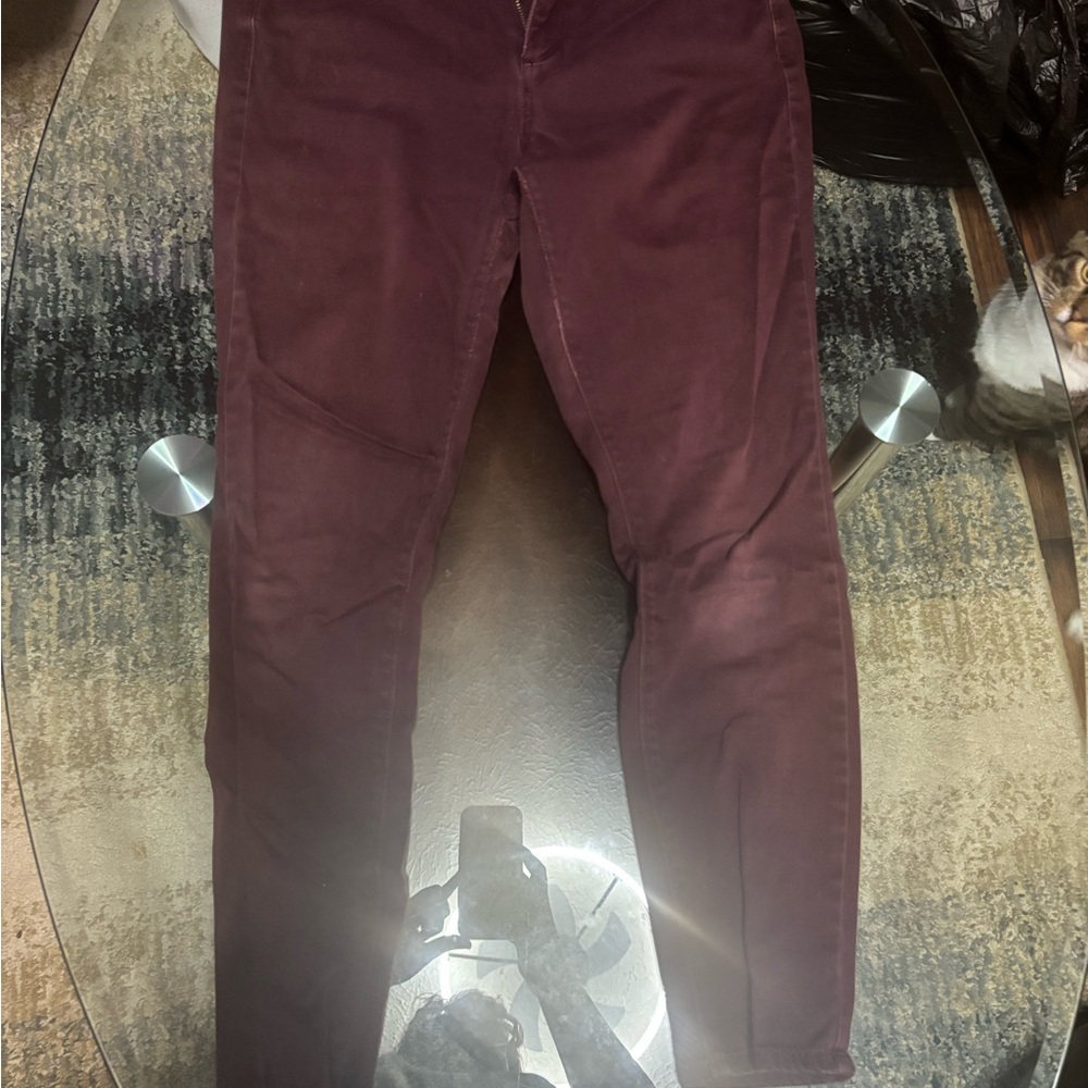 LOFT Women's Dark Burgundy Skinny Jeans